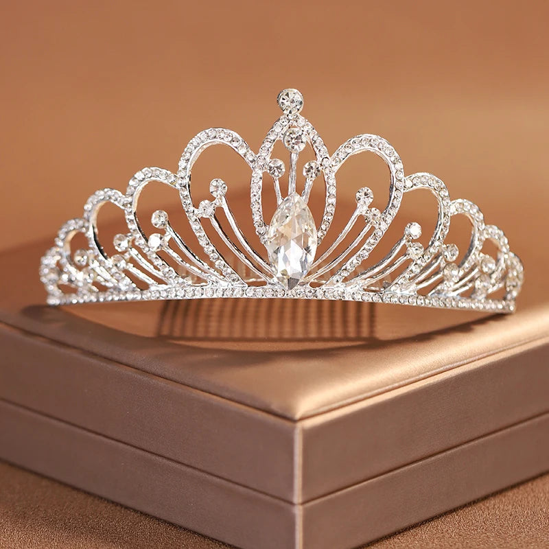 Premium Silver Botanical Wedding Crown | Regal Birthday Tiara & Bridal Hairwear Accessory