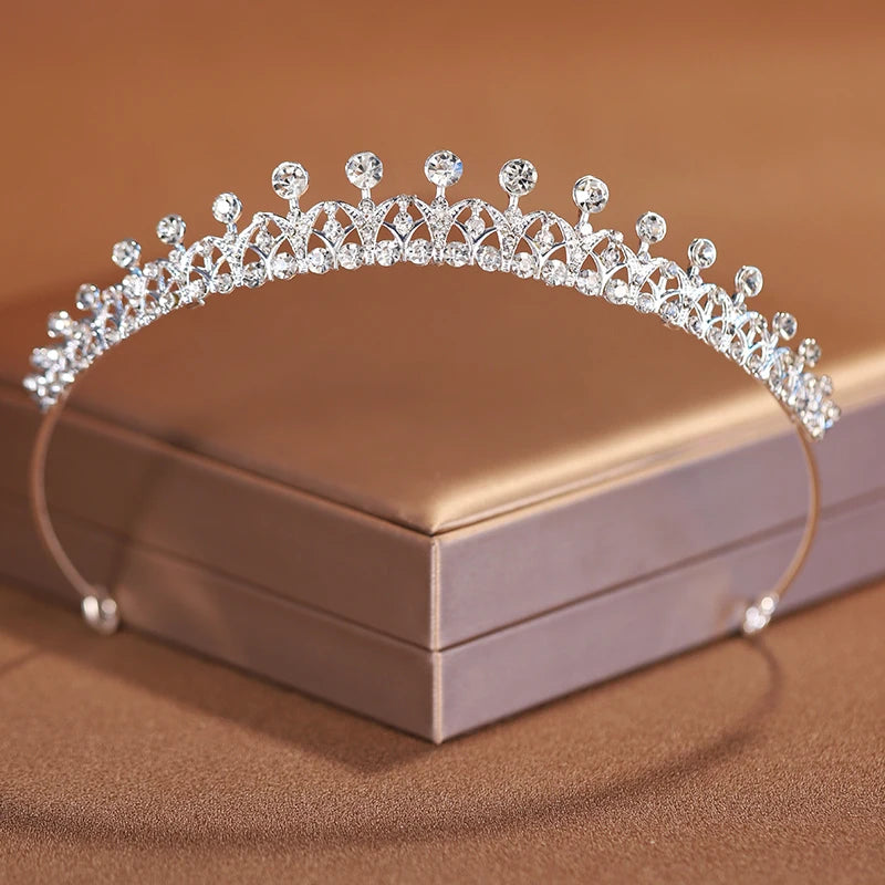 Premium Silver Botanical Wedding Crown | Regal Birthday Tiara & Bridal Hairwear Accessory