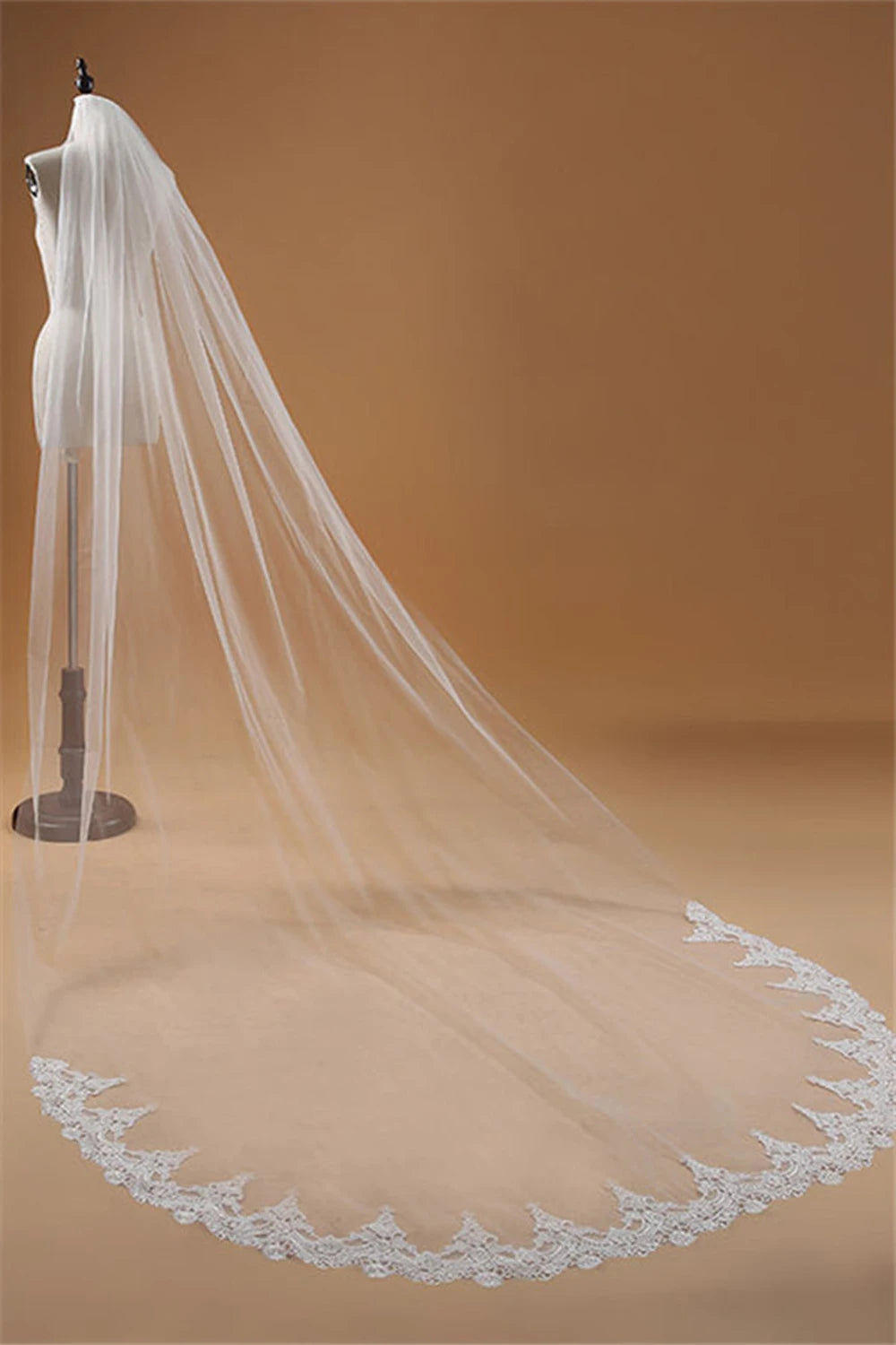 Cathedral Wedding Veil 3 m One-Layer with Lace Applique Edge