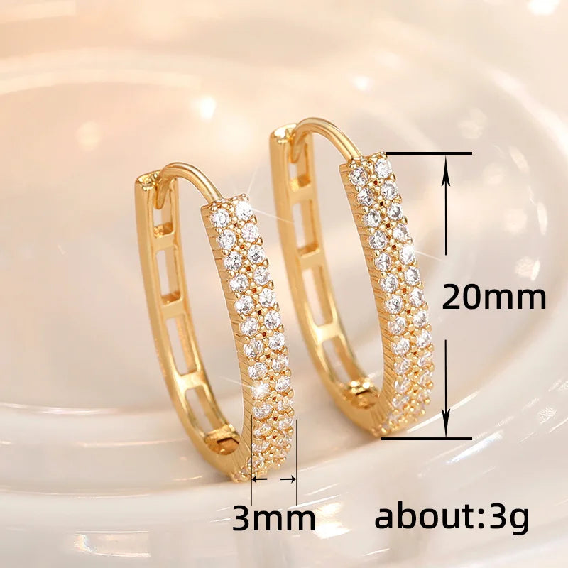 Luxury Full Paved CZ Hoop Earrings