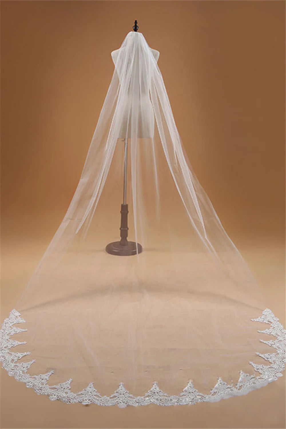 Cathedral Wedding Veil 3 m One-Layer with Lace Applique Edge